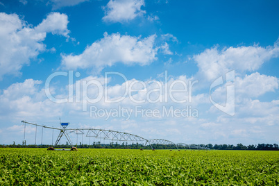 beet field watering machine