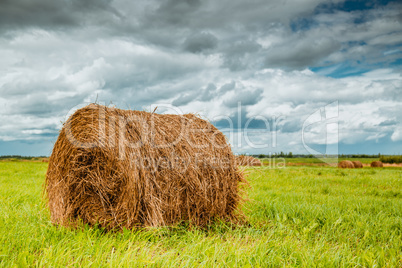 Straw bales on farmland