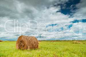 Straw bales on farmland