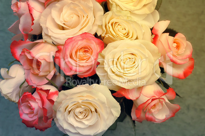 A bouquet of roses on light green background.