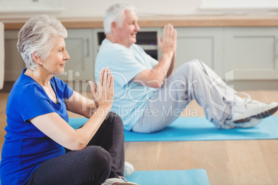 Senior couple performing yoga exercise