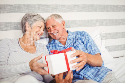 Senior man giving a surprise gift to senior woman