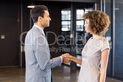 Businessman shaking hands young woman