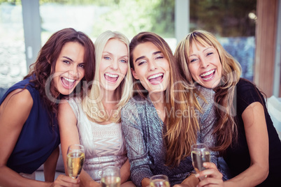 Portrait of beautiful women having drink