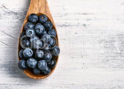 Spoon full of fresh black currant