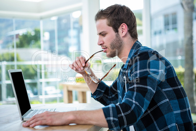 Handsome man working on laptop