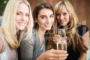 Portrait of beautiful women having drinks