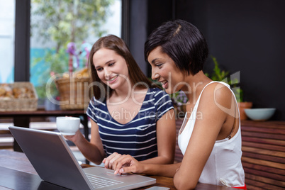 Pretty women using laptop
