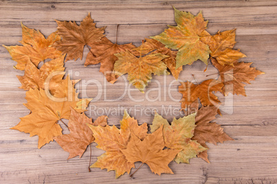 Frame of autumn leaves