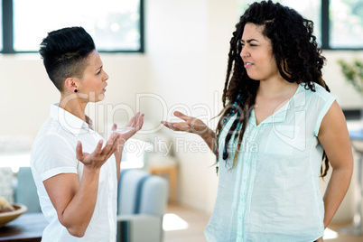 Unhappy lesbian couple arguing with each other