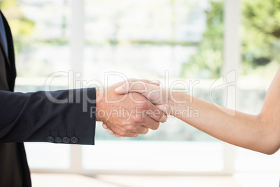 Real-estate agent shaking hands with client