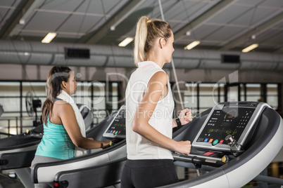 Women exercising on treadmills