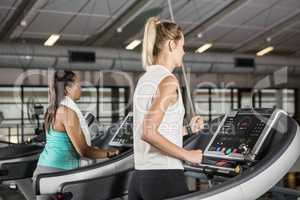Women exercising on treadmills