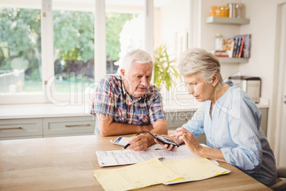 Worried senior couple checking their bills