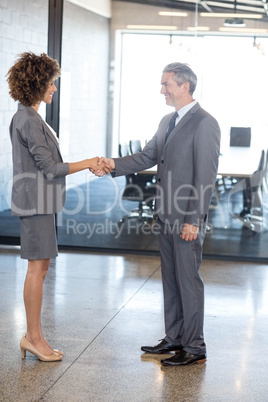 Businessman shaking hands with businesswoman