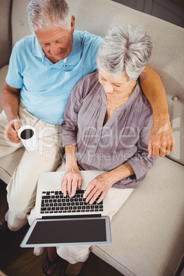 Senior woman using laptop in living room