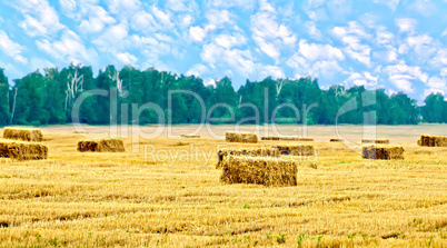 Bales of straw rectangular and trees