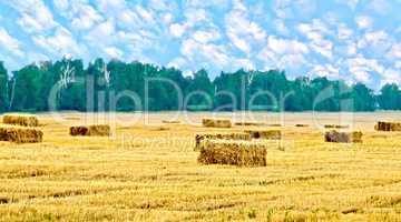 Bales of straw rectangular and trees