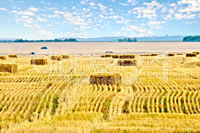 Bales of straw rectangular and sky