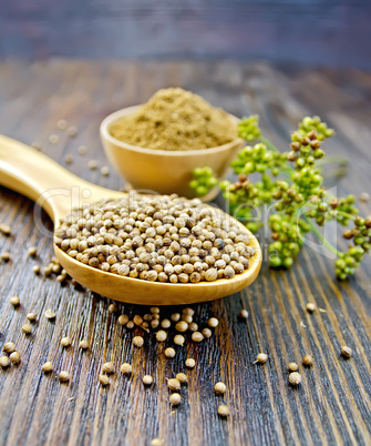 Coriander in bowl and spoon on board