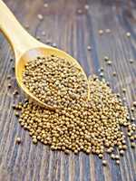 Coriander seeds in spoon on board