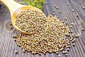 Coriander seeds in spoon on dark board