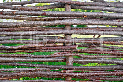 Fence wicker willow