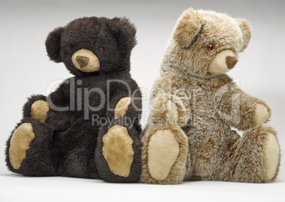 Two small teddy bear sitting