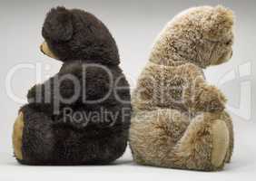 Two small teddy bear sitting