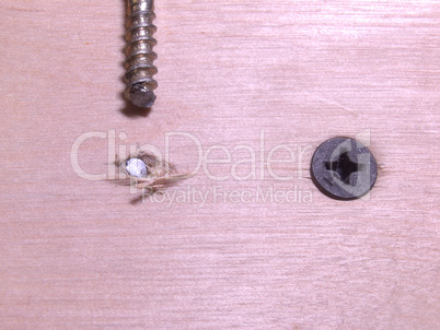 Copper-plated screw, accidentally broken when tightening