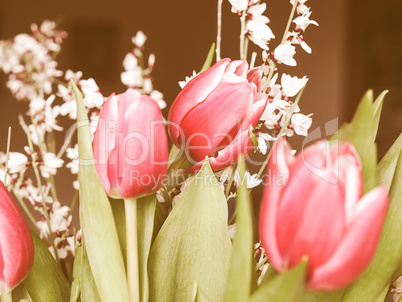 Retro looking Tulip picture