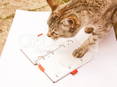 Retro looking Cat reading notekeeper