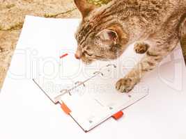 Retro looking Cat reading notekeeper