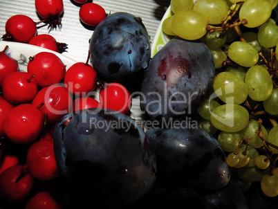 Plum, hawthorn and grapes