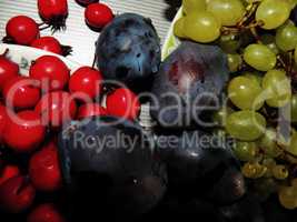 Plum, hawthorn and grapes
