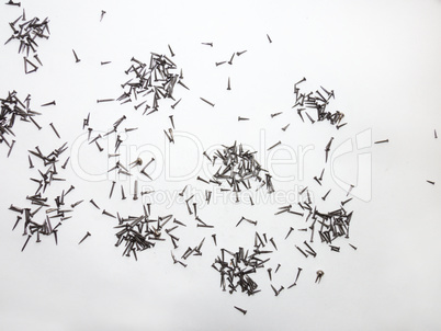 Handfuls of Shoe nails scattered on paper