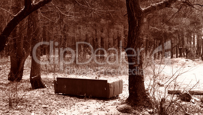 Sofa in the forest