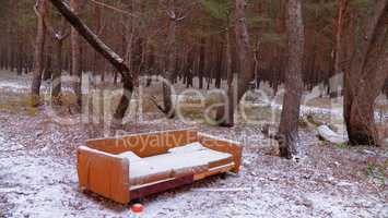 Sofa in the forest