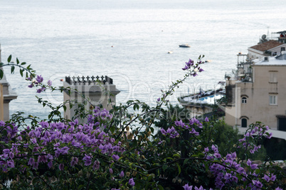 beautiful building on a background of mountains. Surrounded by flowers