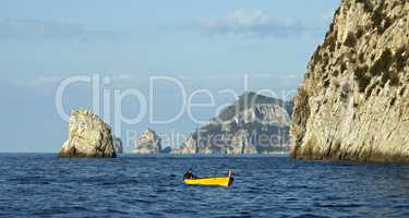 view of the capri coast. Italy