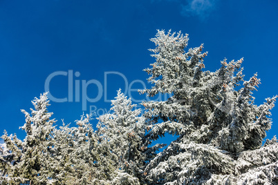 Winter im Riesengebirge bei Benecko