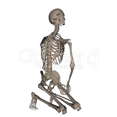 Human skeleton praying on his knees - 3D render