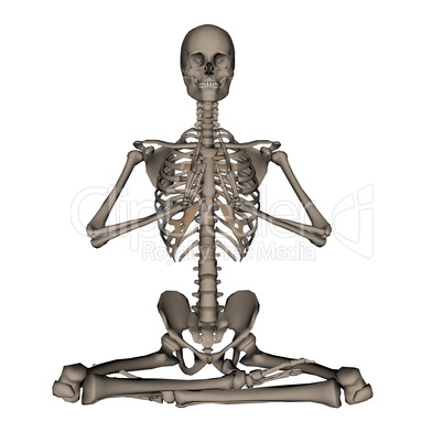 Human skeleton meditation- 3D render