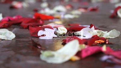 Scattered rose petals on the stone