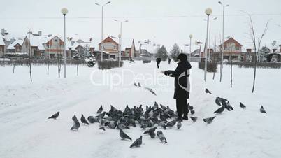Woman is feeding a flock of pigeons
