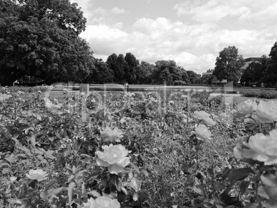 Gardens in Stuttgart Germany