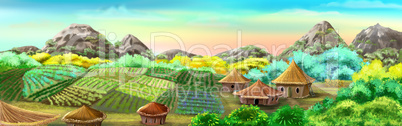 Chinese Village and Rice Fields