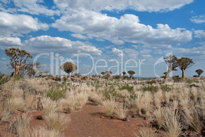 Landschaft in Namibia