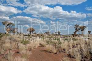 Landschaft in Namibia