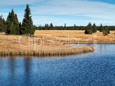 Dead pond, Ore Mountains, Czech republic